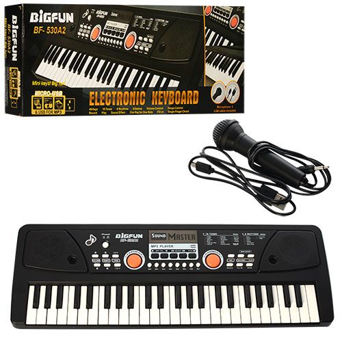 Синтезатор, 49 клавіш, мікрофон, USB, mp3, запис, Demo, від мережі BF-530A2