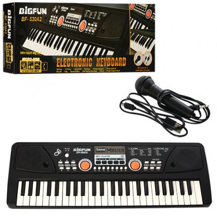 Синтезатор, 49 клавіш, мікрофон, USB, mp3, запис, Demo, від мережі BF-530A2