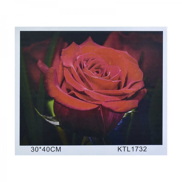 Картина по номерам KTL 1744