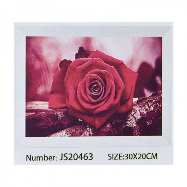 Алмазная мозаика JS 20465