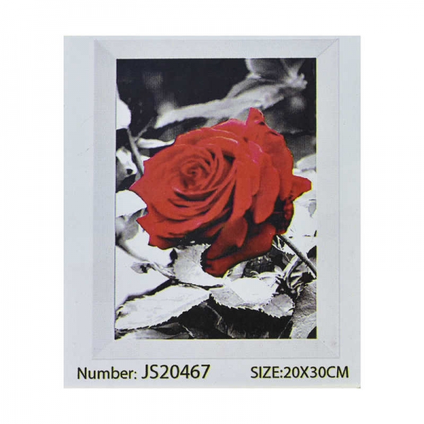 Алмазная мозаика JS 20469